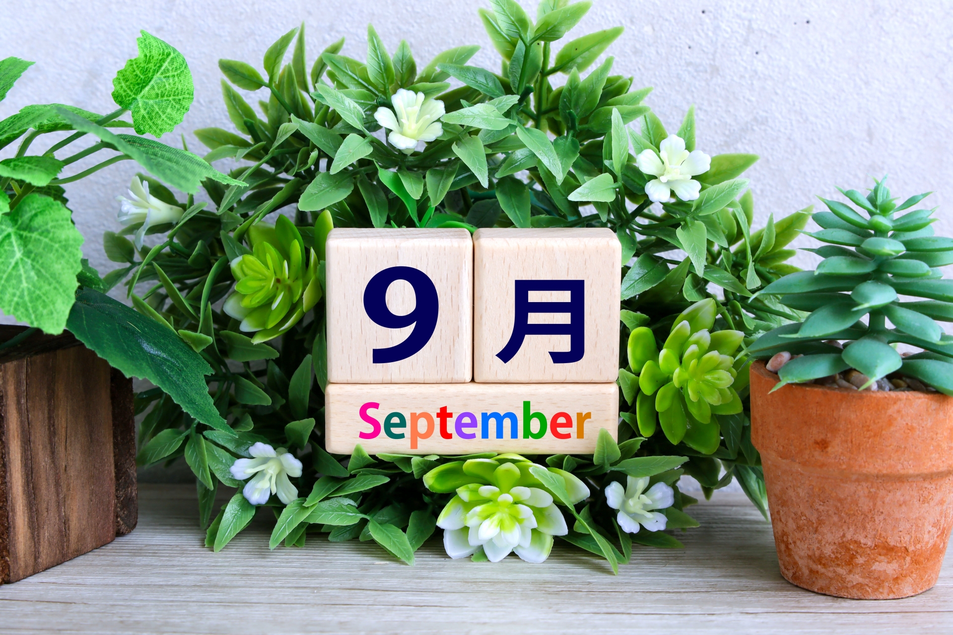 2025年9月診療体制のお知らせ