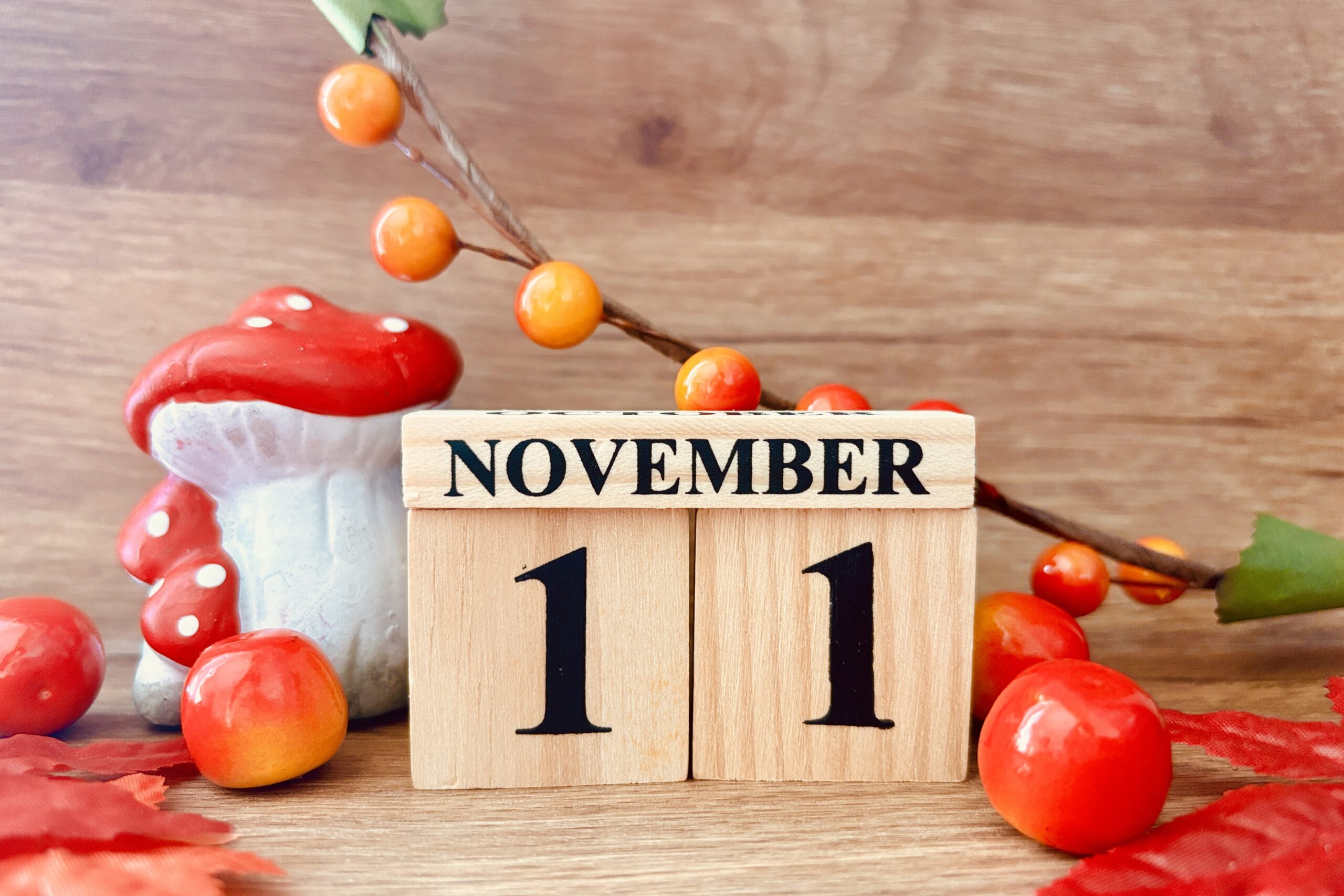2025年11月診療体制のお知らせ