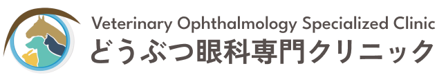 header_logo