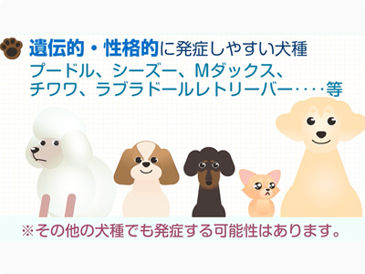 頭を振る行動と網膜剥離