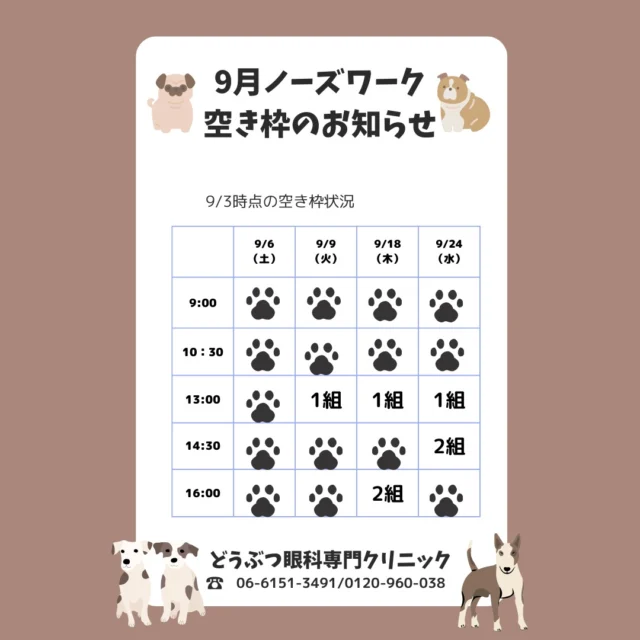 どうぶつ眼科専門クリニック｜獣医眼科専門医による眼科診療