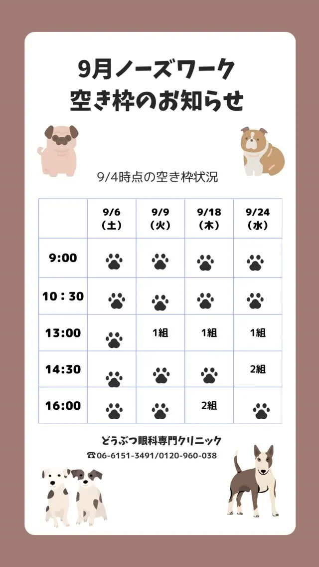 どうぶつ眼科専門クリニック｜獣医眼科専門医による眼科診療
